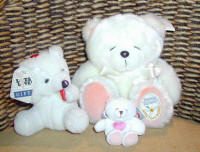 Teddy bears for delivery inj Cyprus with flowers and plants