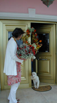 Delivering flowers in Cyprus can be hair raising, beware of the cute dogs