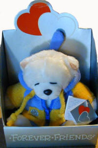 Forever friends cool teddy in a bathrobe is for delivery in Cyprus with flowers and plants